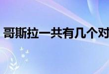 哥斯拉一共有幾個(gè)對(duì)手（哥斯拉一共有幾部）