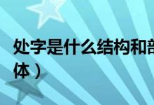 處字是什么結(jié)構(gòu)和部首（處字是什么結(jié)構(gòu)的字體）