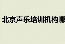 北京聲樂培訓(xùn)機(jī)構(gòu)哪家好（怎么選培訓(xùn)機(jī)構(gòu)）