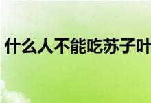 什么人不能吃蘇子葉（什么人不能吃蘇子葉）