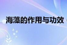 海藻的作用與功效（海藻有何作用與功效）