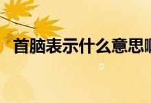 首腦表示什么意思?。ㄊ啄X表示什么意思）