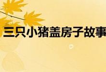 三只小豬蓋房子故事視頻（三只小豬蓋房子）