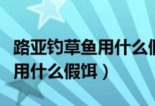 路亞釣草魚用什么假餌效果最好（路亞釣草魚用什么假餌）