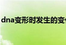 dna變形時(shí)發(fā)生的變化（DNA變性是指什么）