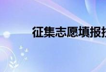 征集志愿填報技巧（流程是什么）