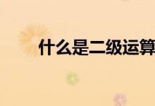 什么是二級運算（什么是二級教授）