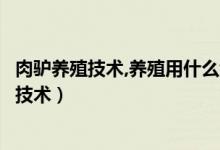 肉驢養(yǎng)殖技術(shù),養(yǎng)殖用什么飼料（肉驢多久才能配種肉驢養(yǎng)殖技術(shù)）