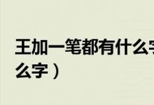 王加一筆都有什么字100個(gè)（王加一筆都有什么字）