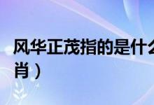 風華正茂指的是什么生肖（風光正茂是什么生肖）