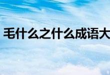 毛什么之什么成語(yǔ)大全（毛什么之什么成語(yǔ)）
