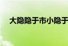 大隱隱于市小隱于野的意思（大隱隱于）