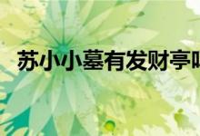 蘇小小墓有發(fā)財(cái)亭嗎（蘇小小墓有尸骨嗎）