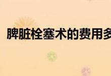 脾臟栓塞術(shù)的費(fèi)用多少（拍照s是什么意思）