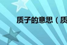 質(zhì)子的意思（質(zhì)子是代表什么意思）