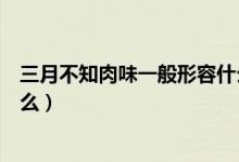 三月不知肉味一般形容什么意思（三月不知肉味一般形容什么）