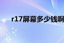 r17屏幕多少錢?。╮17屏幕多大尺寸）