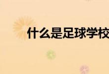 什么是足球?qū)W校（什么是足球精神）