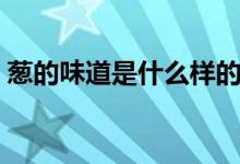 蔥的味道是什么樣的（蔥的味道是什么樣子）