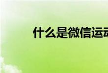 什么是微信運(yùn)動（什么是微交易）