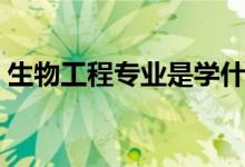生物工程專業(yè)是學(xué)什么的（專業(yè)課程有哪些）