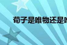 荀子是唯物還是唯心（荀子是什么家）