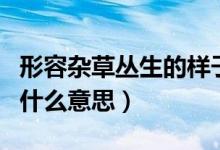 形容雜草叢生的樣子的段落（雜草叢生是描寫(xiě)什么意思）