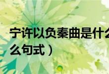 寧許以負(fù)秦曲是什么句式(寧許以負(fù)秦曲是什么句式)