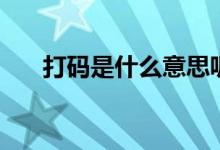 打碼是什么意思呢（打碼是什么意思）