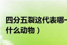 四分五裂這代表哪一只動物（四分五裂指的是什么動物）