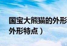 國寶大熊貓的外形特點(diǎn)50字（國寶大熊貓的外形特點(diǎn)）