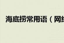 海底撈常用語(網(wǎng)絡語言海底撈什么意思)