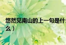 悠然見南山的上一句是什么歌詞（悠然見南山的上一句是什么）