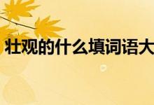壯觀的什么填詞語(yǔ)大全（填詞語(yǔ)壯觀的什么）