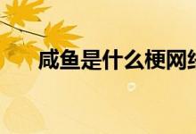 咸魚是什么梗網(wǎng)絡(luò)上（咸魚是什么梗）
