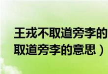 王戎不取道旁李的意思簡短30個字（王戎不取道旁李的意思）