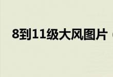 8到11級大風圖片（8到11級大風有多大）