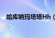 哈庫吶瑪塔塔Hh（哈庫吶瑪塔塔的意思）