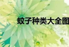 蚊子種類大全圖片（蚊子種類介紹）