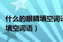 什么的眼睛填空詞語一年級動詞（什么的眼睛填空詞語）