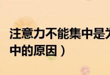 注意力不能集中是為什么（小孩子注意力不集中的原因）