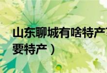 山東聊城有啥特產(chǎn)?（山東聊城特產(chǎn)有哪些主要特產(chǎn)）