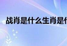 戰(zhàn)肖是什么生肖是什么（戰(zhàn)肖是什么生肖）