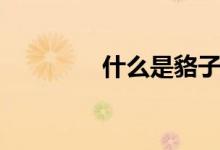 什么是貉子（貉子的介紹）