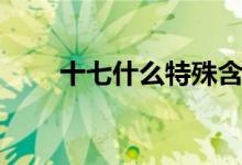 十七什么特殊含義（十七什么意思）