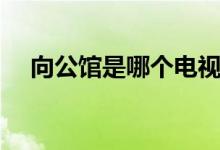 向公館是哪個(gè)電視?。ㄏ旅鏋榇蠹抑v解）