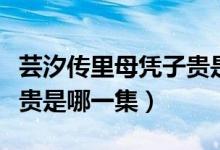 蕓汐傳里母憑子貴是哪一集（蕓汐傳中母憑子貴是哪一集）