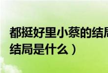 都挺好里小蔡的結(jié)局是什么（都挺好里小蔡的結(jié)局是什么）