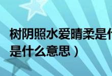 樹(shù)陰照水愛(ài)晴柔是什么意思（樹(shù)陰照水愛(ài)晴柔是什么意思）