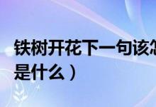 鐵樹開花下一句該怎么回復(fù)（鐵樹開花下一句是什么）